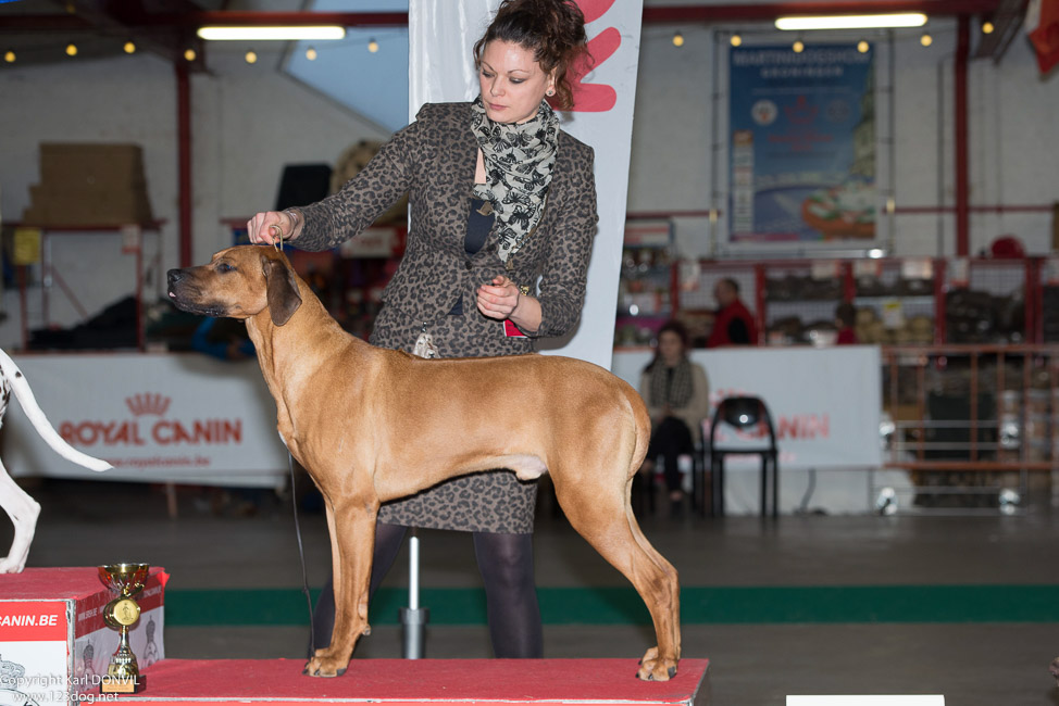 gal/Expo_janvier_2015/2015-02-27 13.31.54-2.jpg